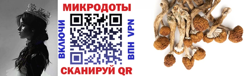 наркошоп  Боготол  Галлюциногенные грибы ЛСД 